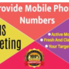 I will provide active mobile number for SMS marketing