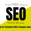 I will do SEO optimization of your website that will increase google ranking