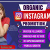 I will do instagram promotion for fast organic instagram growth