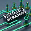 I will develop a marketing and branding strategy for your brand