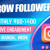 I will do instagram promotion or growth to boost organic followers